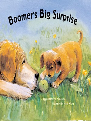 cover image of Boomer's Big Surprise